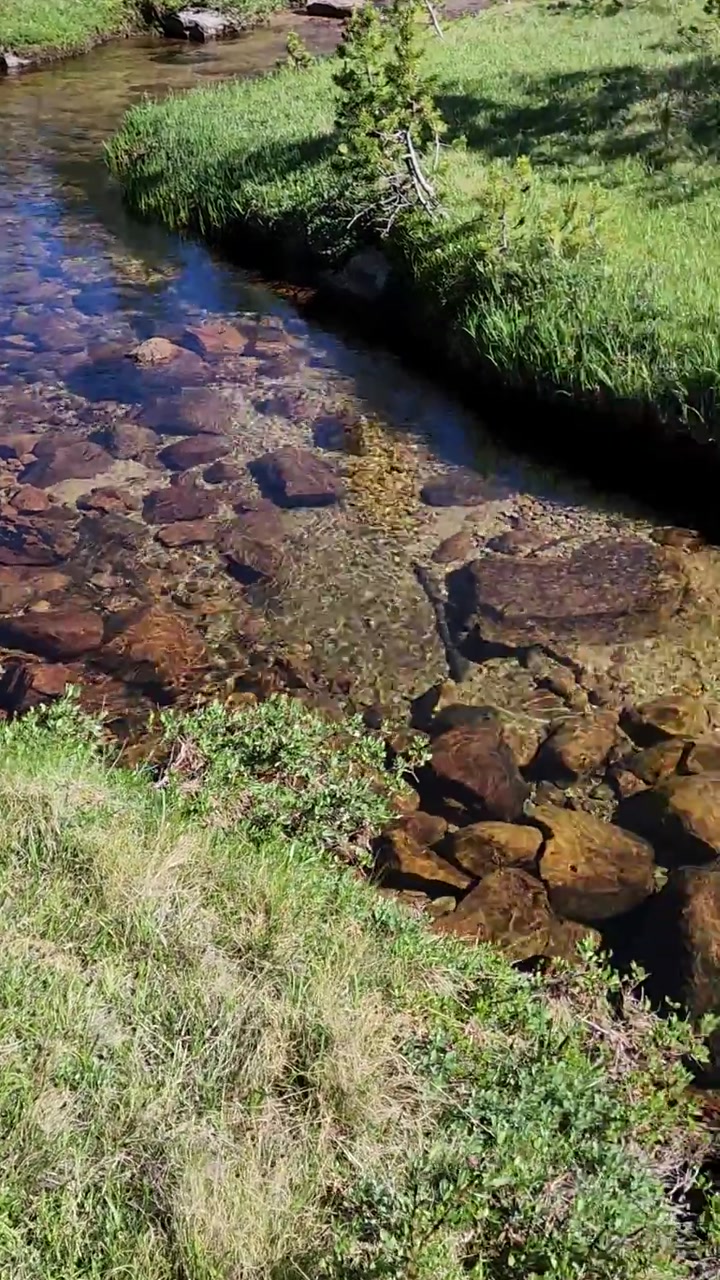 🐟🌊 Fish in a Mountain Stream