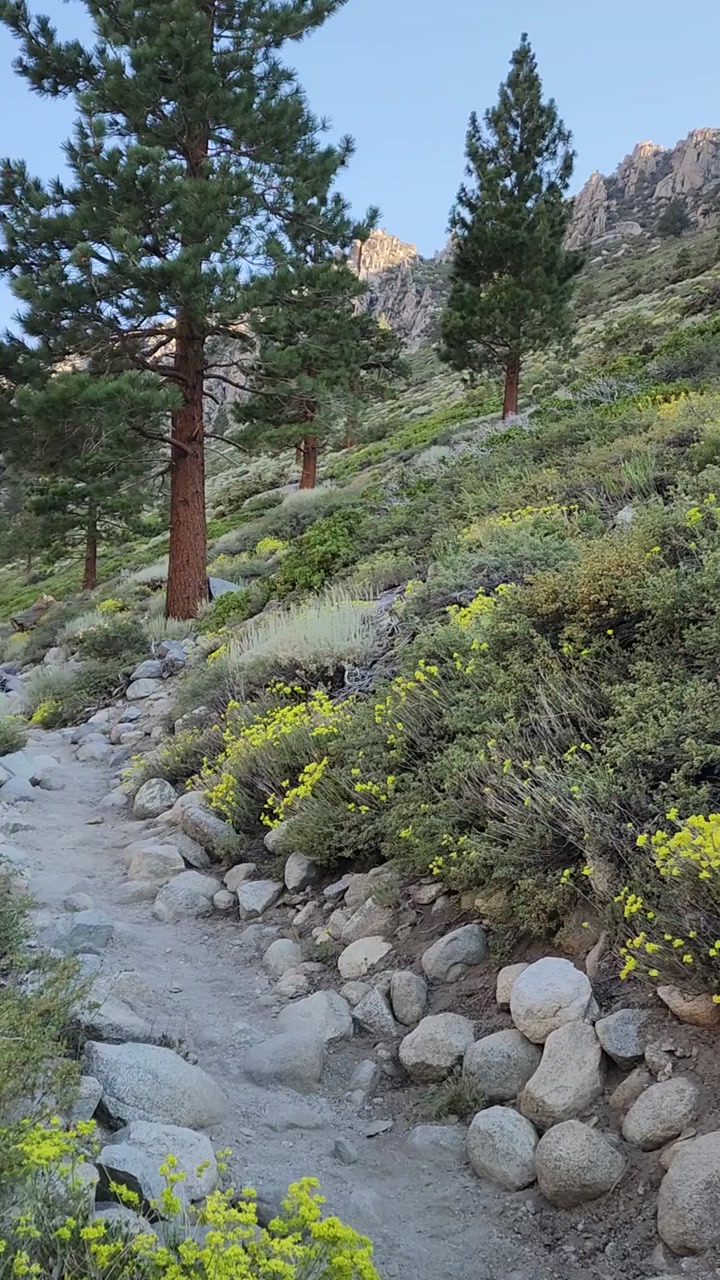 🌸✨ Big Pine Lakes Scenic Trail 🌿