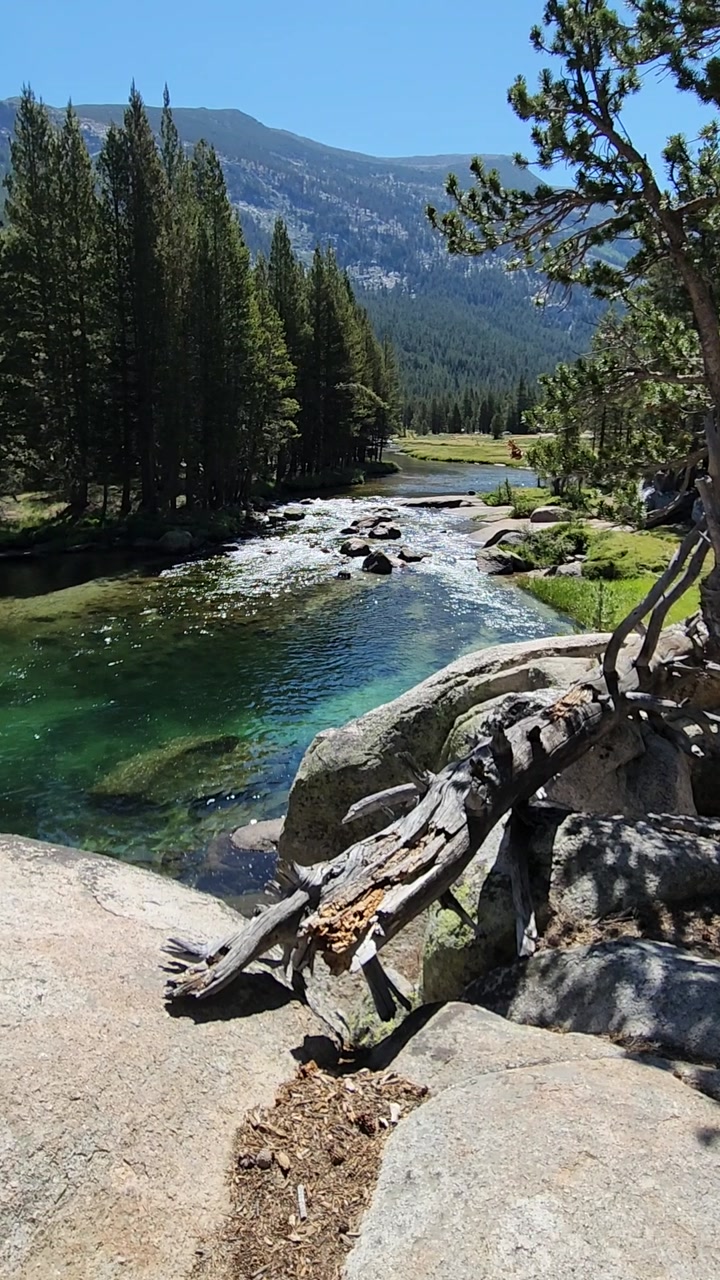 Lyell Fork at John Muir Trail 💧🌊