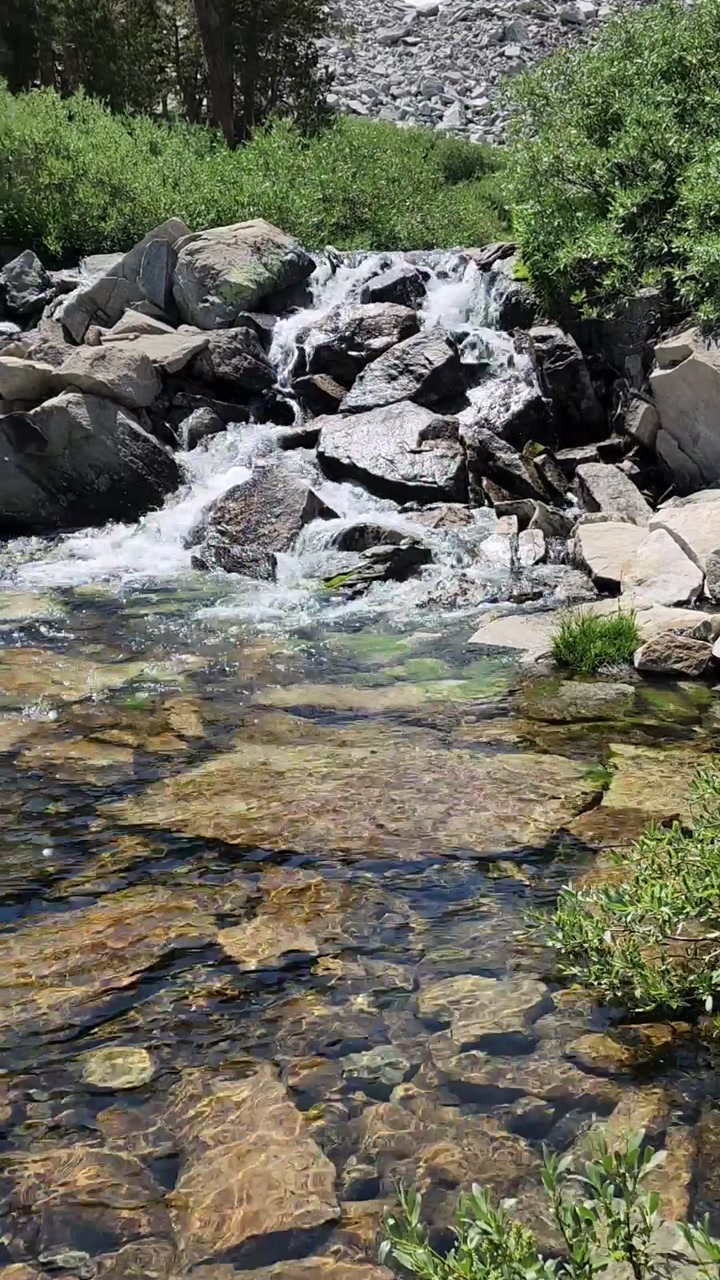 Cascading creek flowing into meadow🌿
