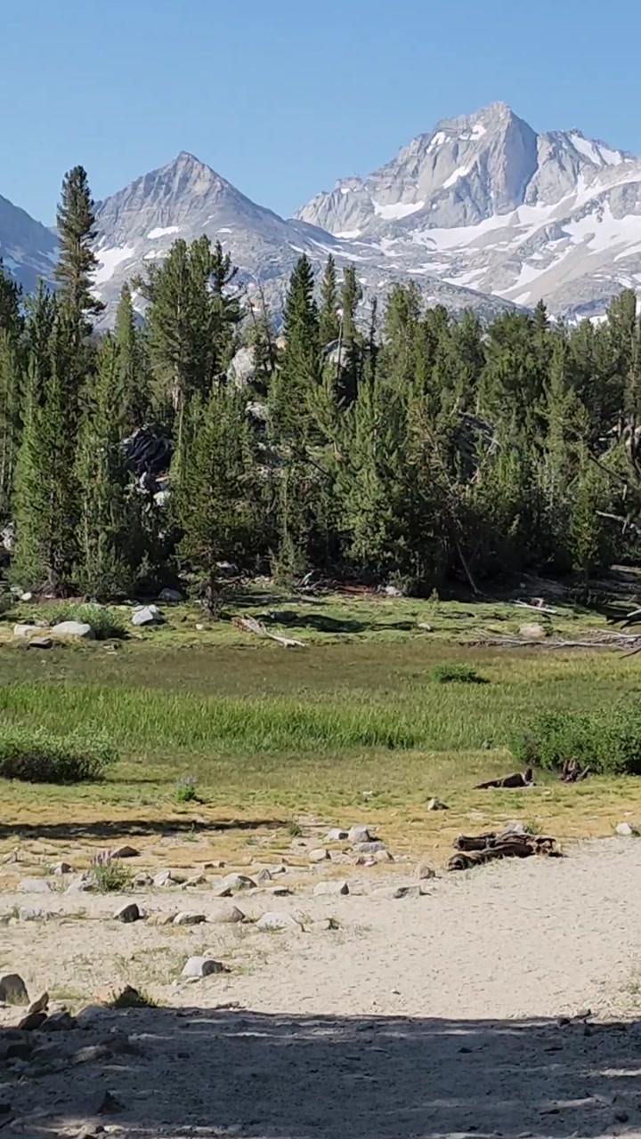 Sierra Meadows 🌿, Trees 🌲& Pond💧
