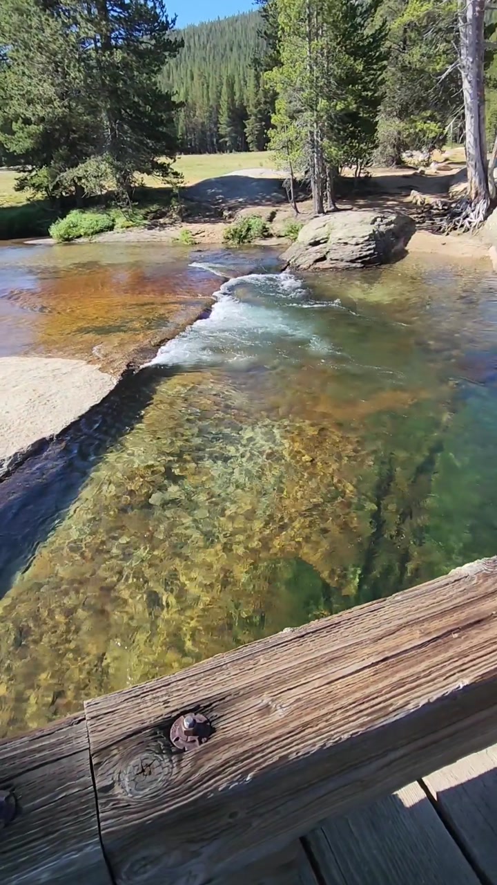 Lyell Creek Whirlpool Over Bedrock🪨